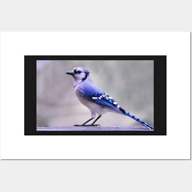 Blue Jay Day Wall Art by LaurieMinor